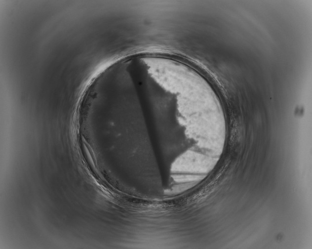 X0000097911367200804041451