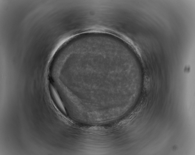 X0000097911368200804041451