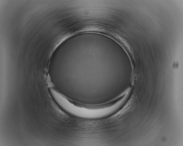 X0000097911369200804041451