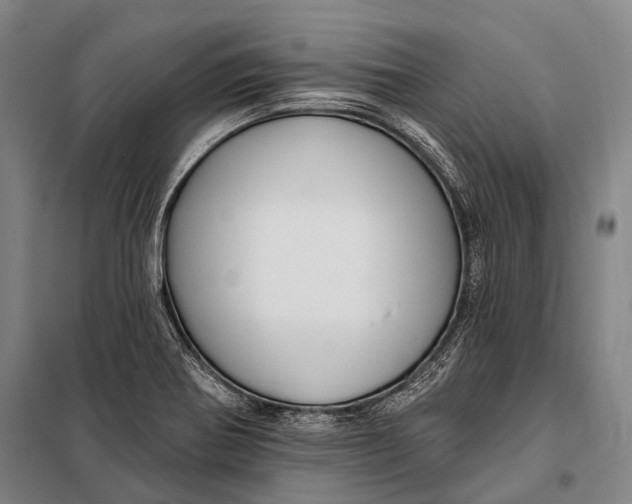 X0000097911370200804041451