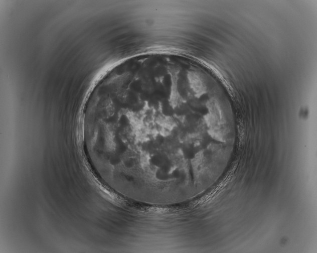 X0000097911371200804041451