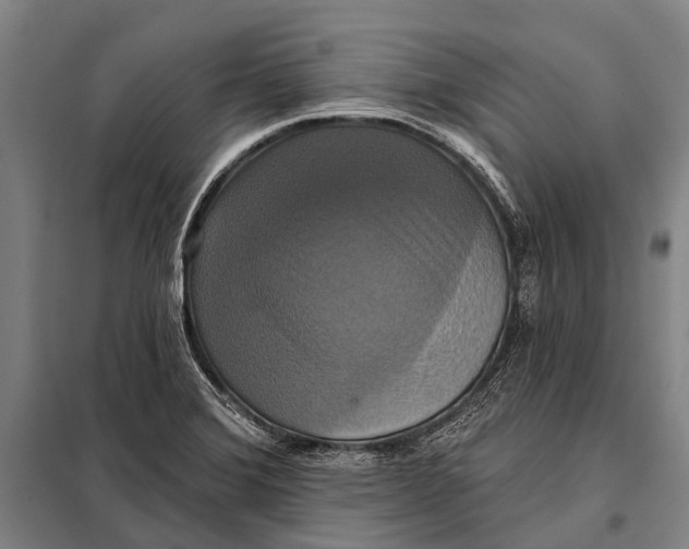 X0000097911372200804041451