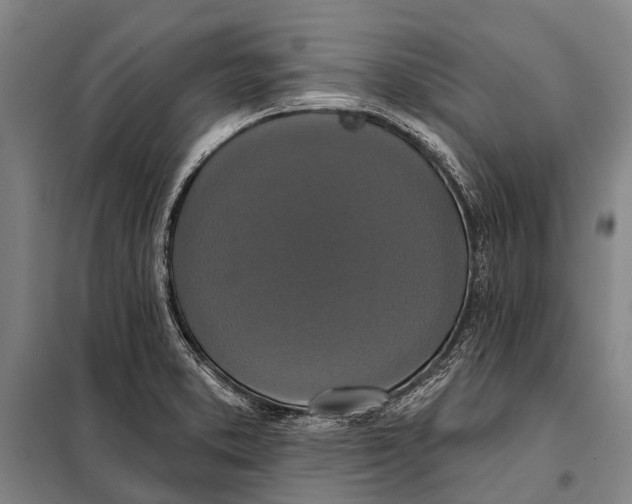 X0000097911373200804041451