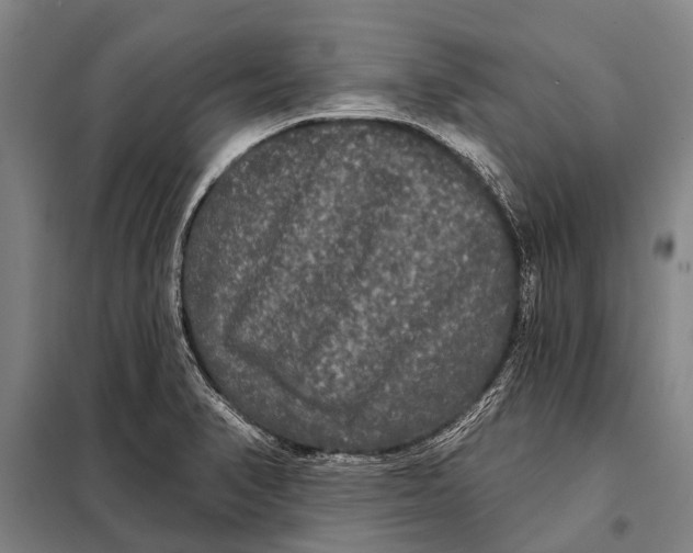 X0000097911374200804041451