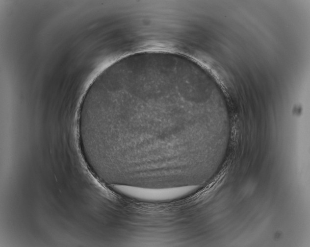 X0000097911375200804041451