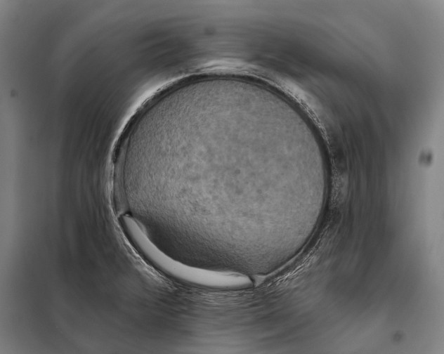 X0000097911376200804041451