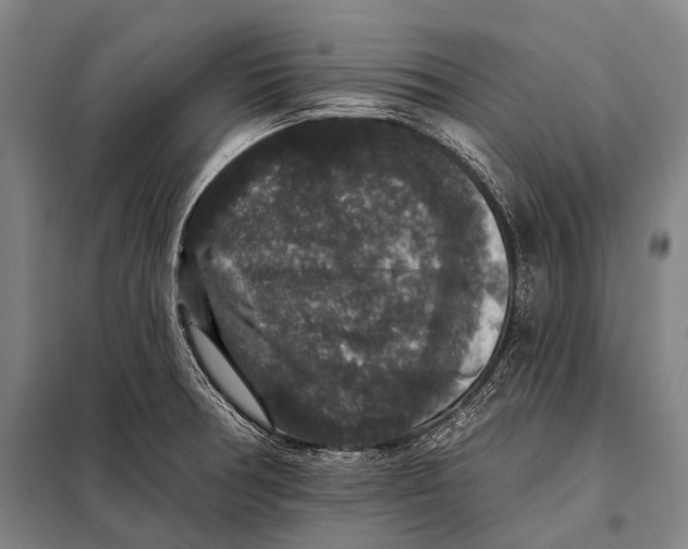 X0000097911378200804041451