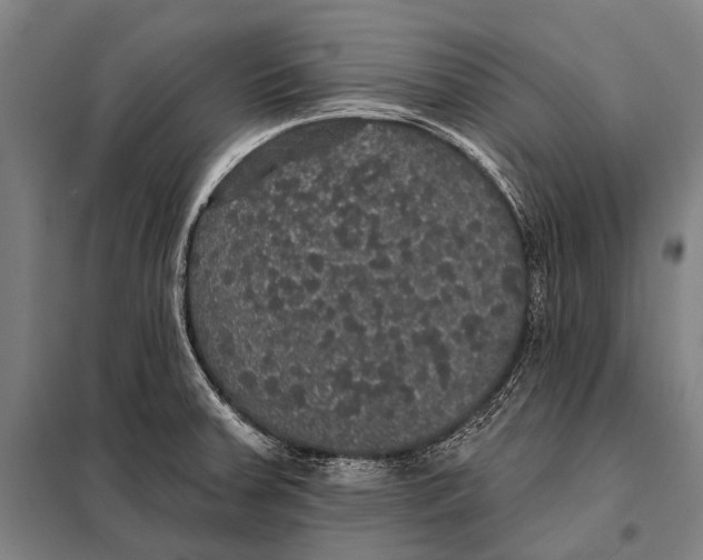 X0000097911379200804041451