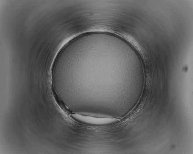 X0000097911380200804041451