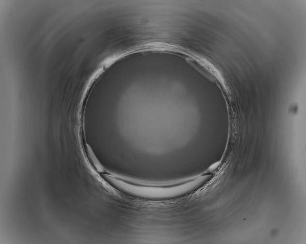 X0000097911381200804041451