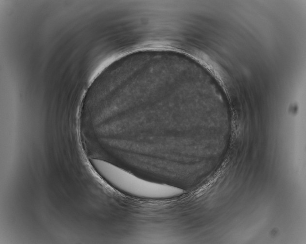 X0000097911382200804041451