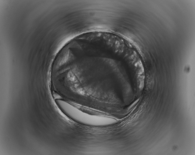 X0000097911383200804041451