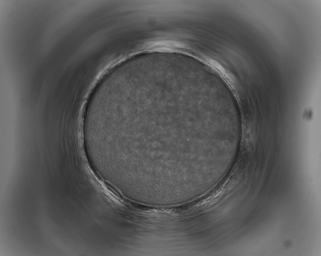 X0000097911384200804041451