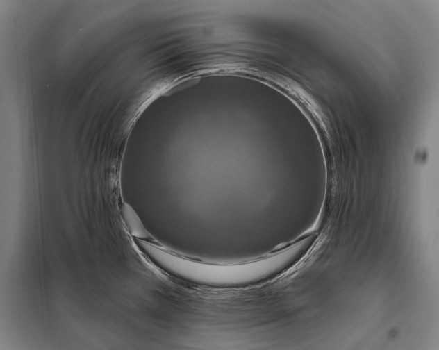 X0000097911385200804041451