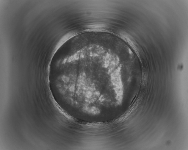 X0000097911386200804041451