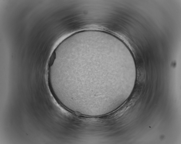 X0000097911387200804041451