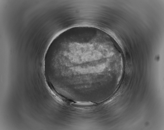 X0000097911388200804041451