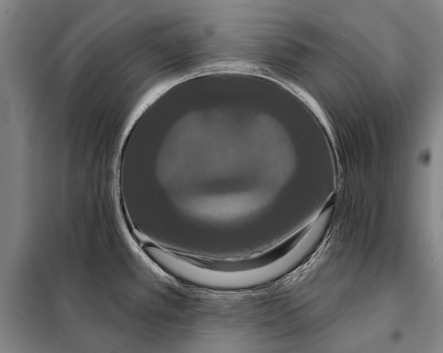 X0000097911389200804041451