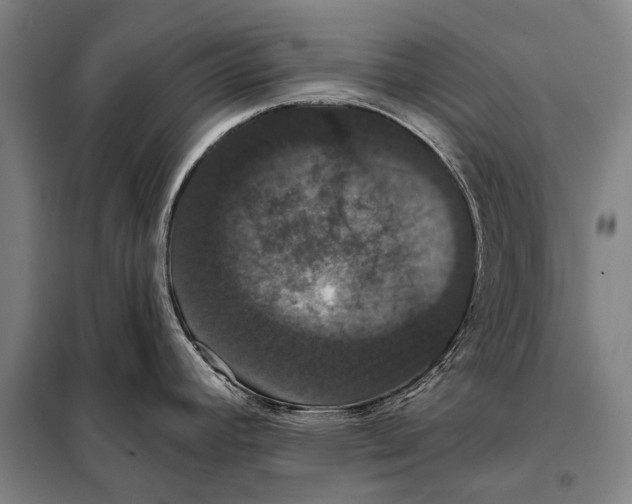 X0000097911392200804041451