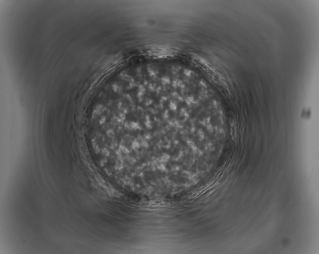 X0000097911393200804041450