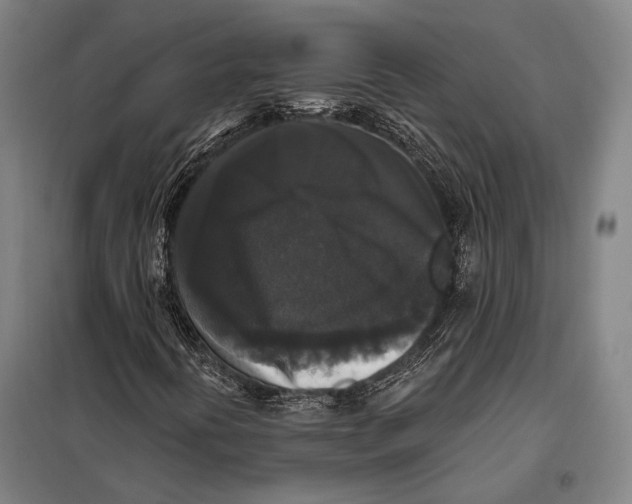 X0000097911394200804041450