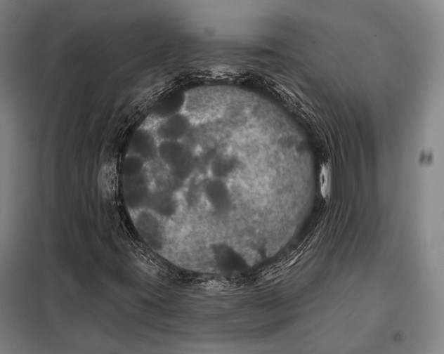 X0000097911395200804041450