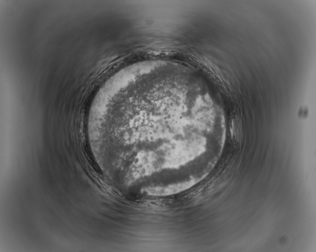 X0000097911396200804041450