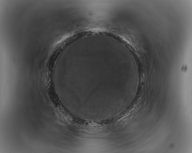 X0000097911398200804041450