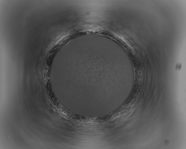 X0000097911399200804041450