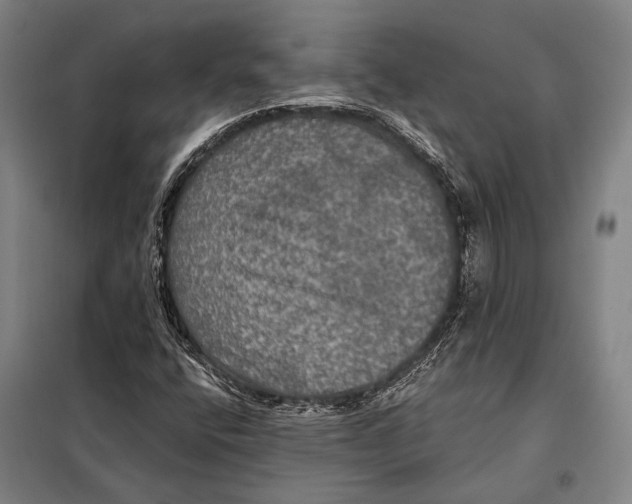 X0000097911400200804041450