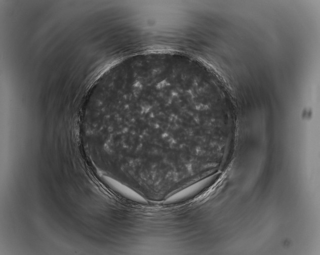 X0000097911401200804041450