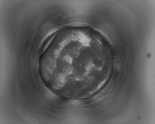 X0000097911402200804041450