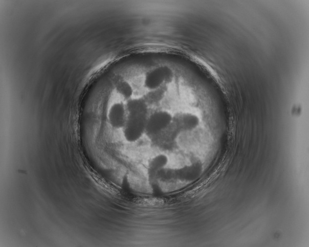 X0000097911403200804041450