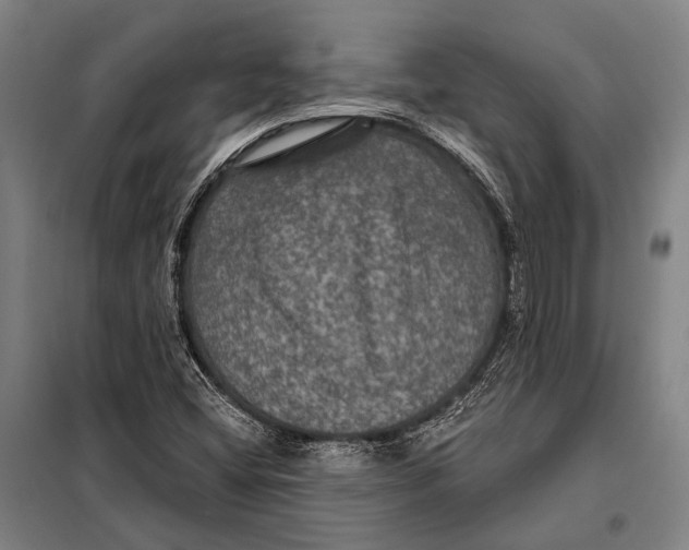 X0000097911404200804041450