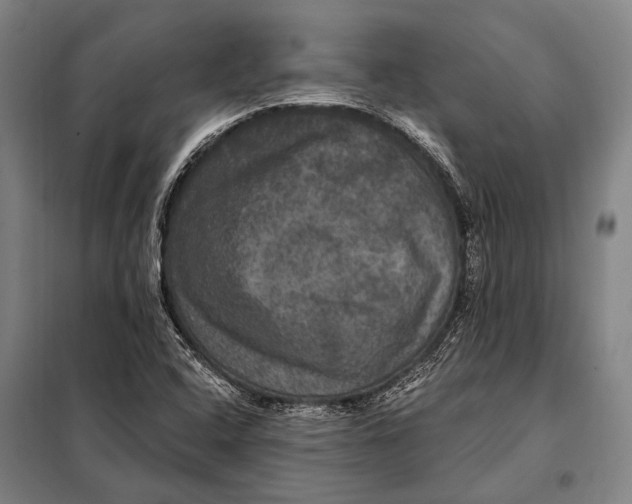 X0000097911408200804041450