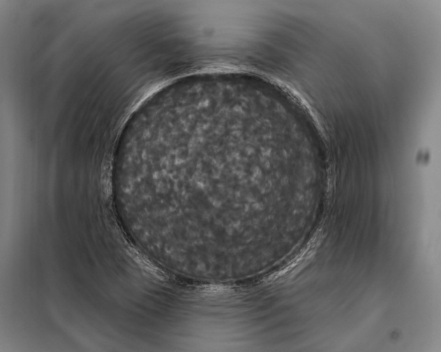 X0000097911409200804041450