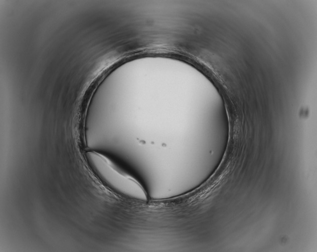 X0000097911410200804041450