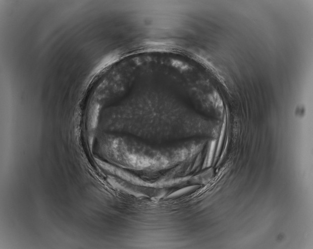 X0000097911411200804041450