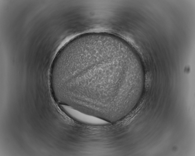 X0000097911412200804041450