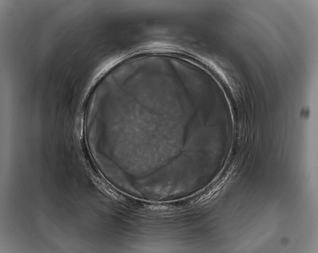 X0000097911413200804041450