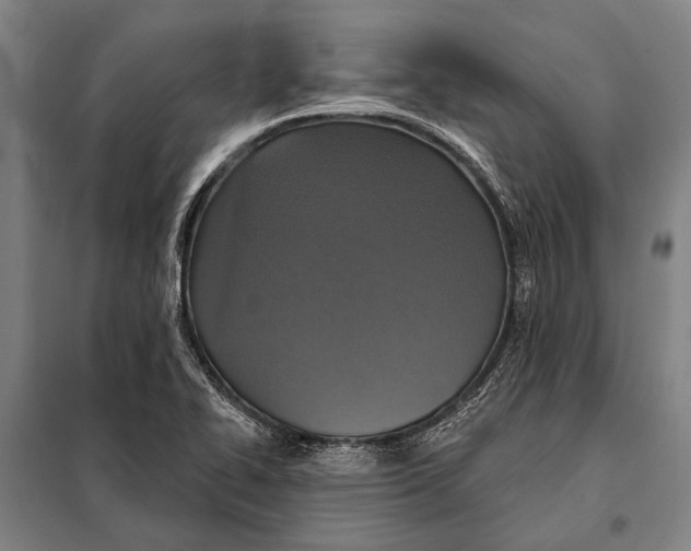 X0000097911414200804041450