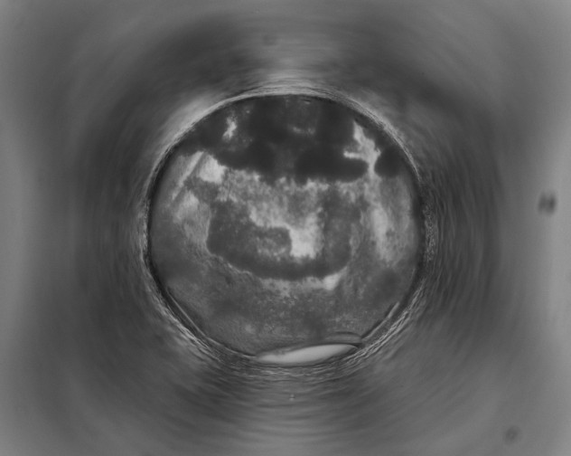 X0000097911415200804041451