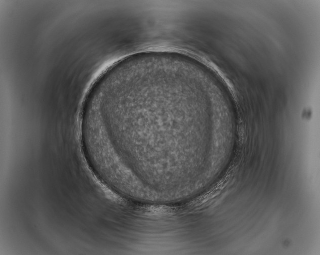 X0000097911416200804041451