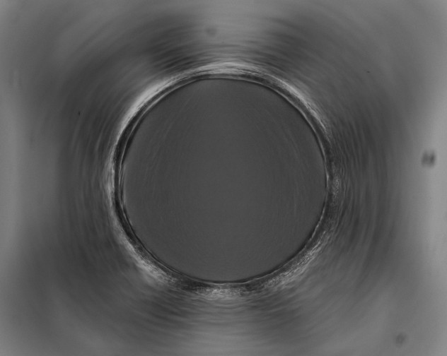 X0000097911418200804041451