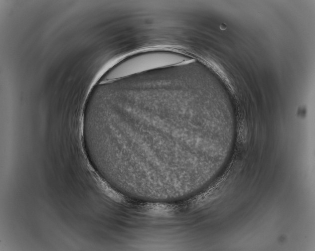 X0000097911420200804041451