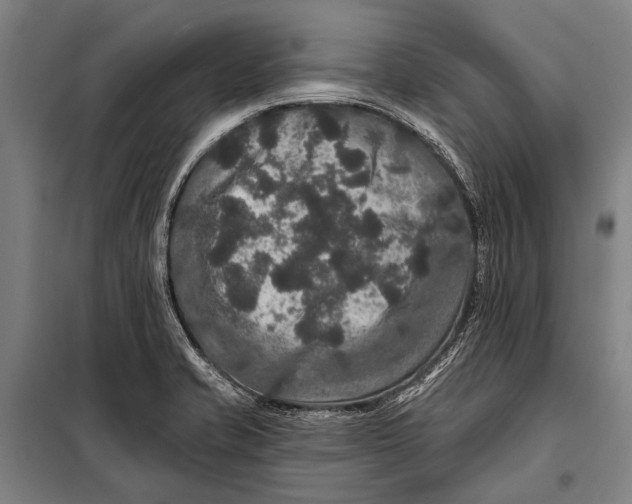 X0000097911421200804041451