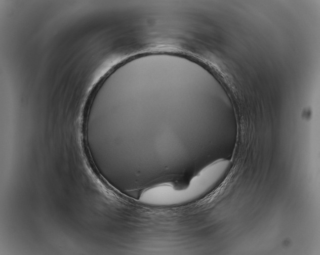 X0000097911422200804041451