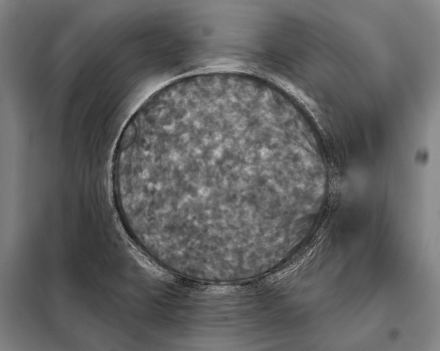 X0000097911423200804041451