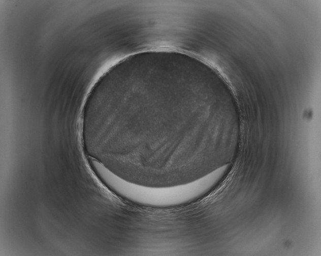 X0000097911424200804041451