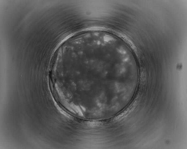 X0000097911425200804041451